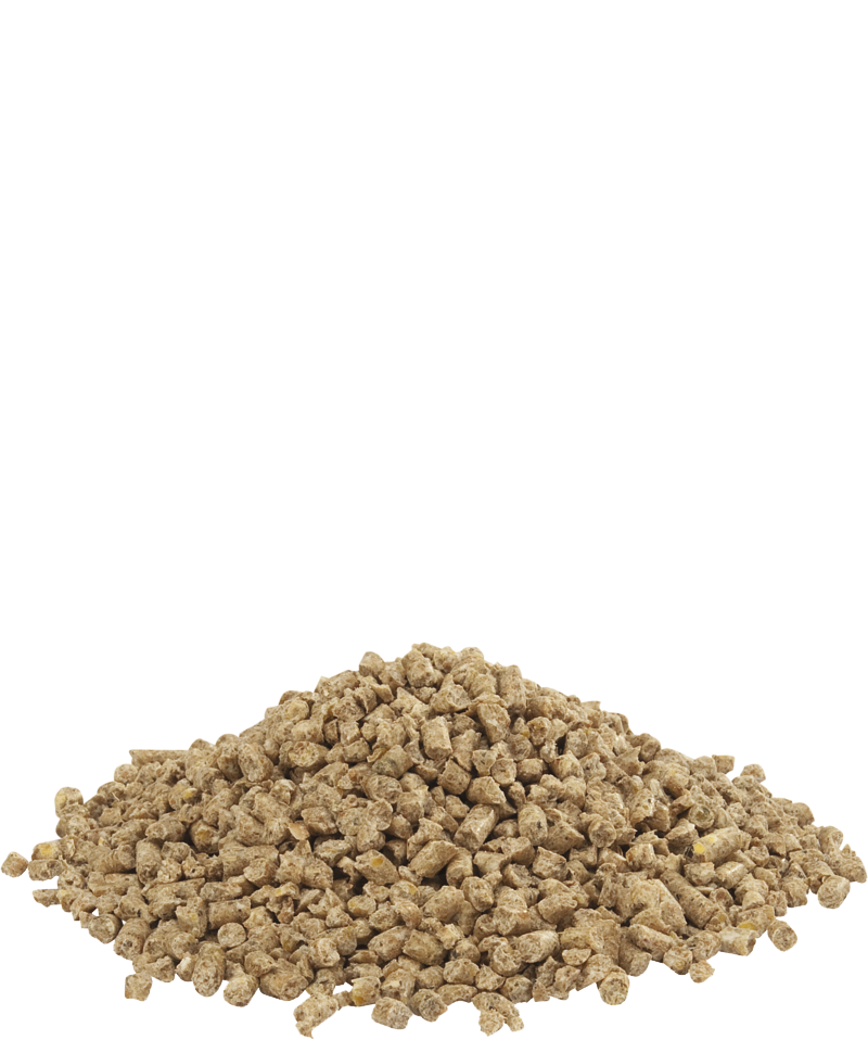 VERSELE HAPPY LIFE - ADULT CHICKEN 15 KG