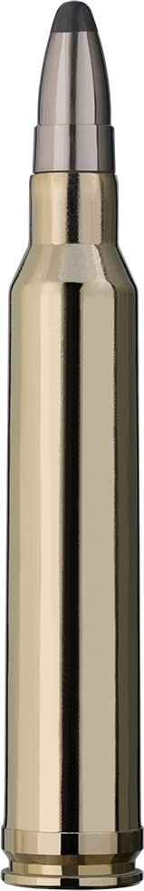 RWS - .300 WIN MAG UNI Classic 11.7g/180gr - 20 st