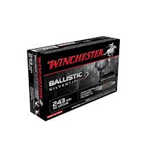WINCHESTER - 243W BS - 95 gr - 20 st