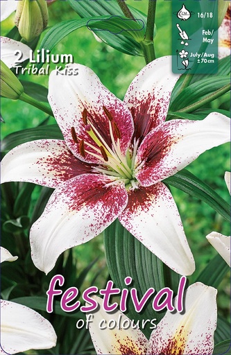 [09-202081] Lelies Tribal Kiss - 2 st