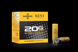 Game Bore - Super Steel 20/67 - 24g